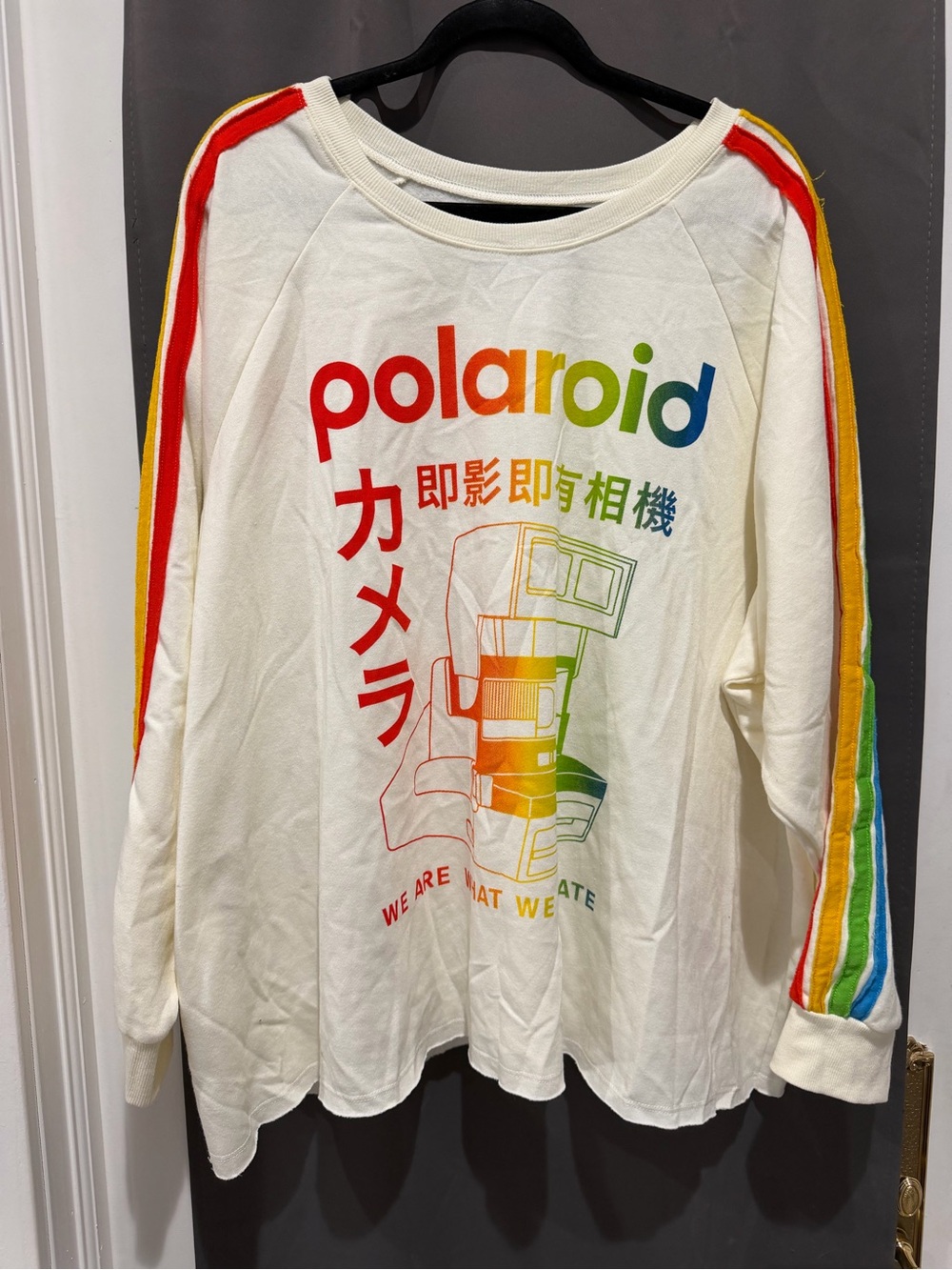 Torrid: Polaroid women’s Long-Sleeve Rainbow Graphic Top - Cream